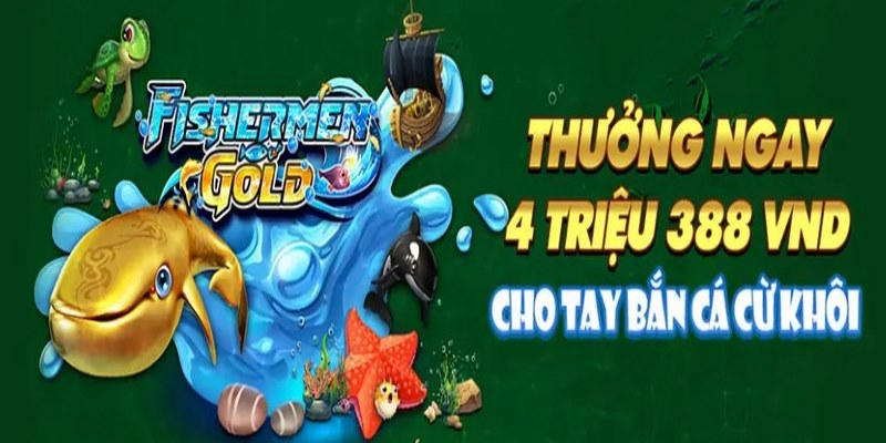 Chọn chương trình hợp lý nâng cao lợi thế chơi cược mỗi ngày